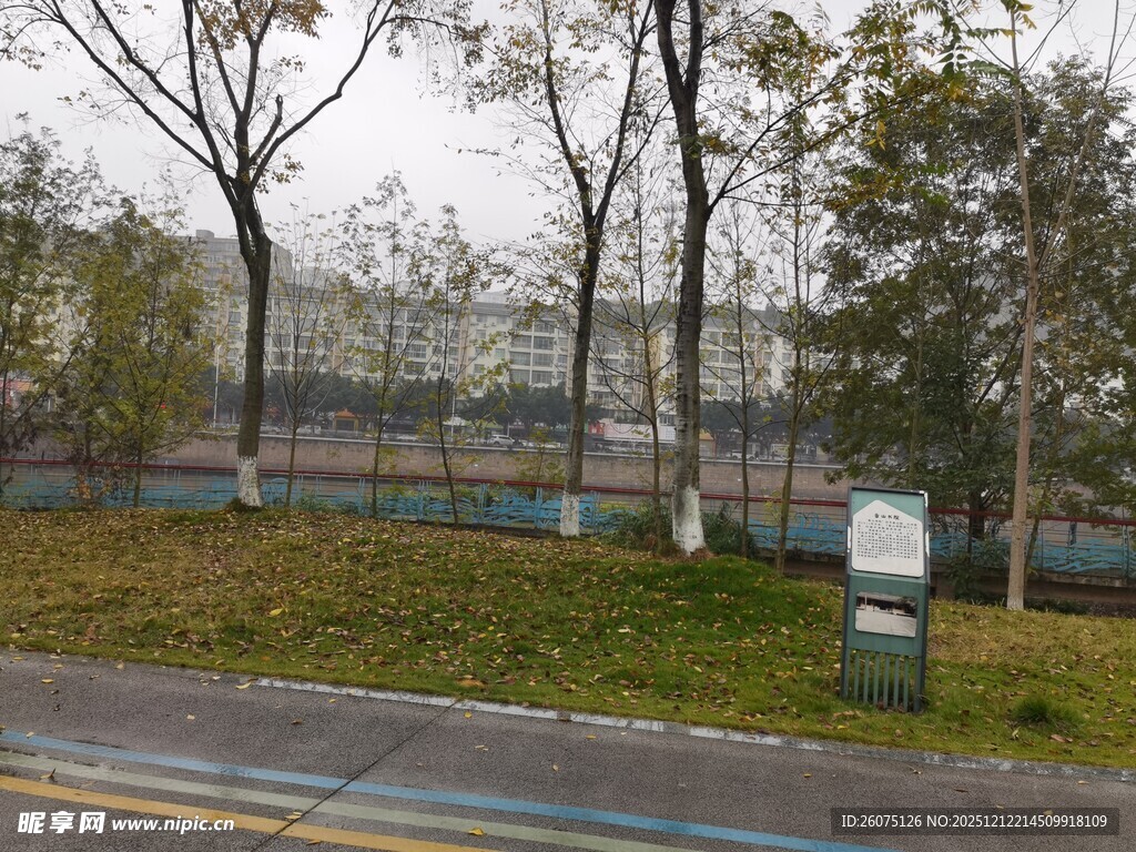 城市道路旁的绿化景观