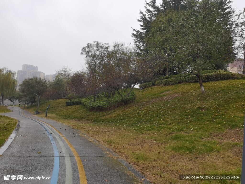 雨中蜿蜒的道路与绿植