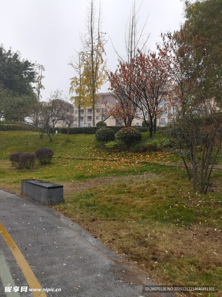 秋日公园小路景致