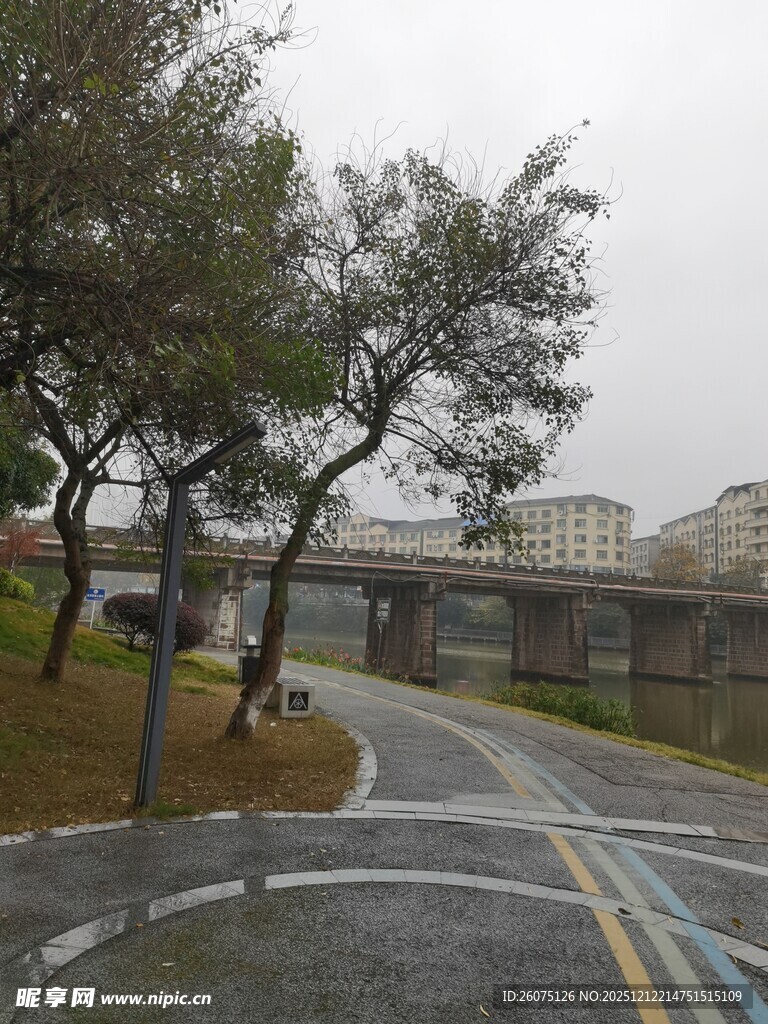 城市道路旁的树木与建筑