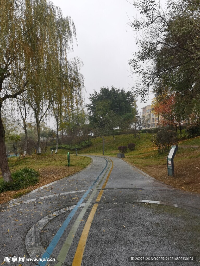 雨中湿滑道路与周边景致