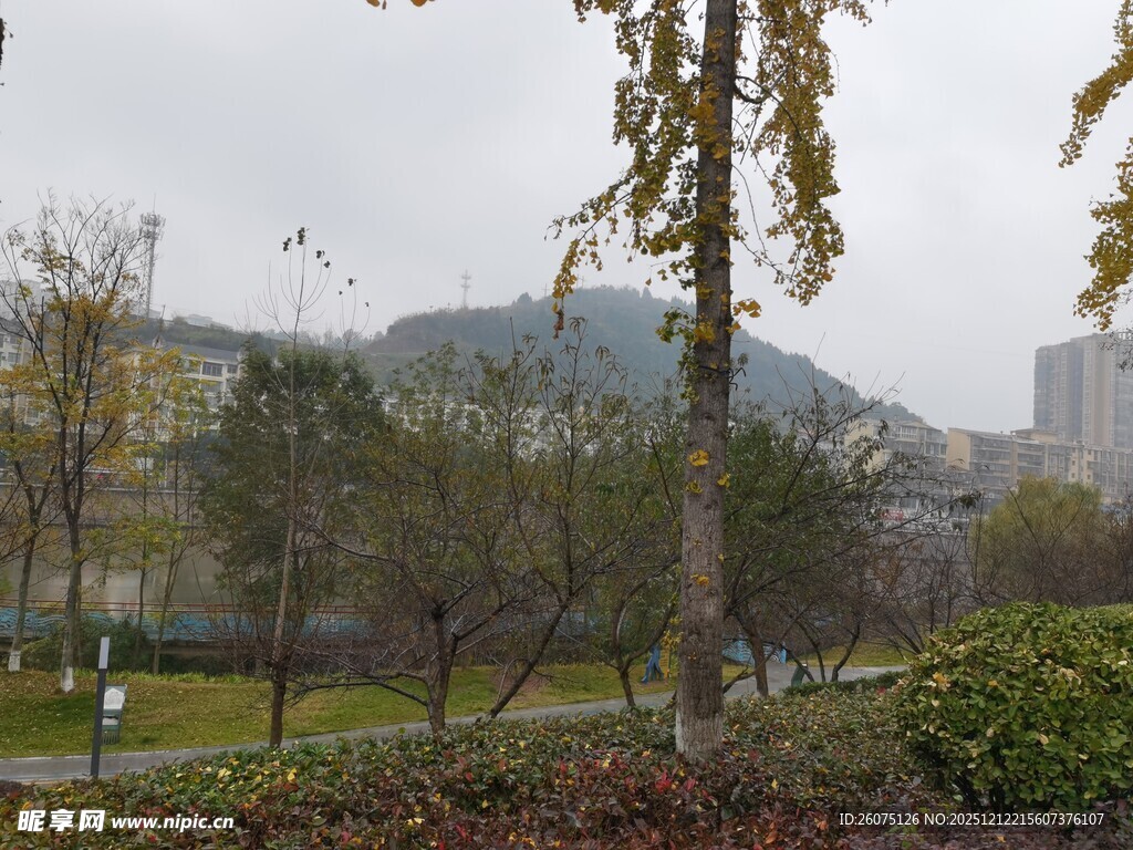 秋日城郊园林风景