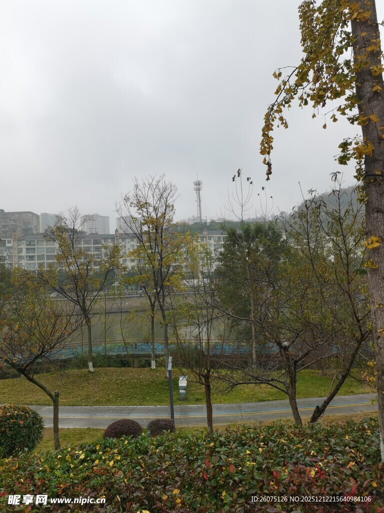 城市公园秋日景致