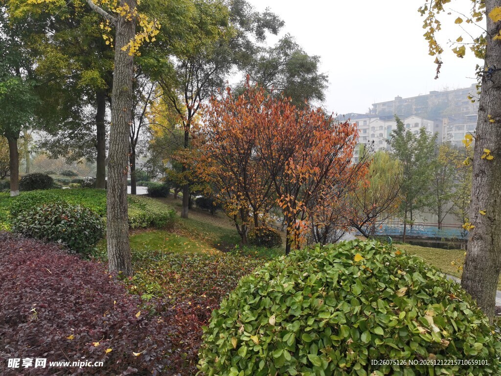 秋日多彩园林景观