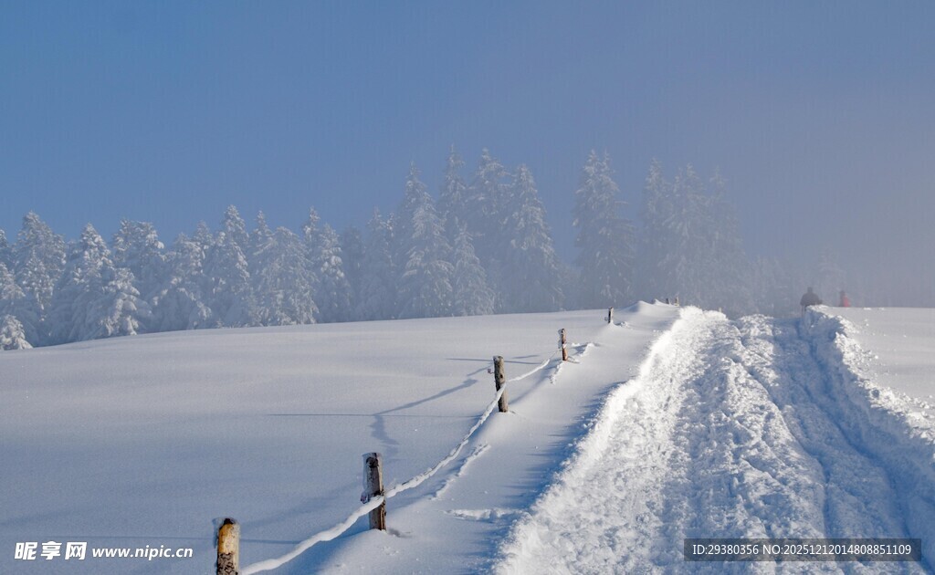 冬日雪景