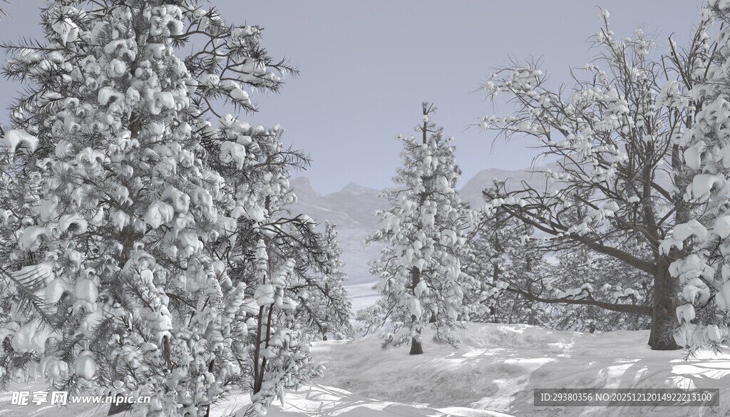 冬日雪景