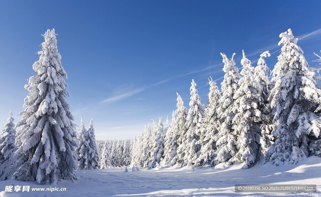 冬日雪景