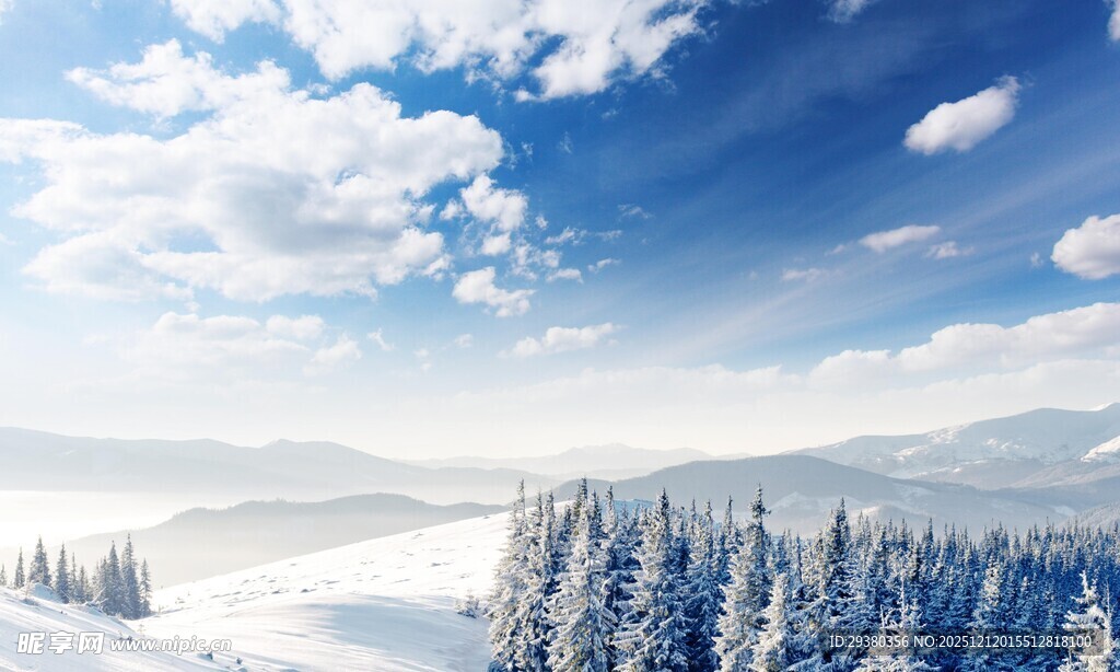 冬日雪景