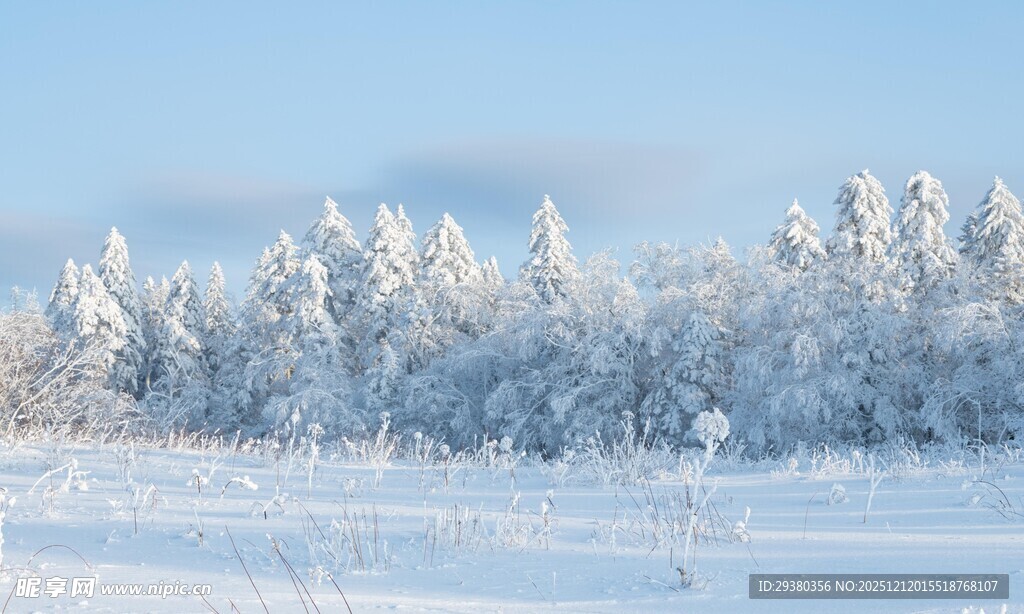 冬日雪景