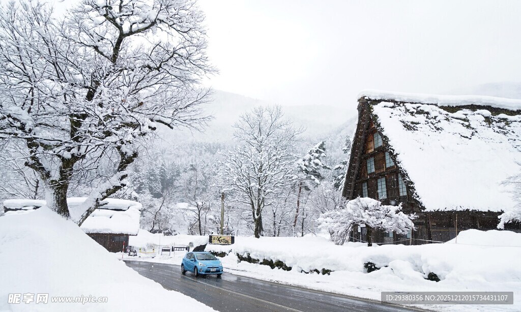 冬日雪景