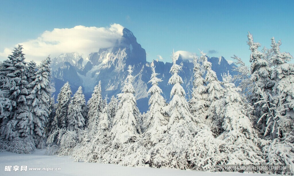 冬日雪景