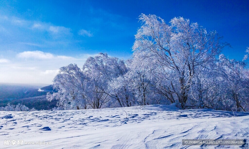 冬日雪景