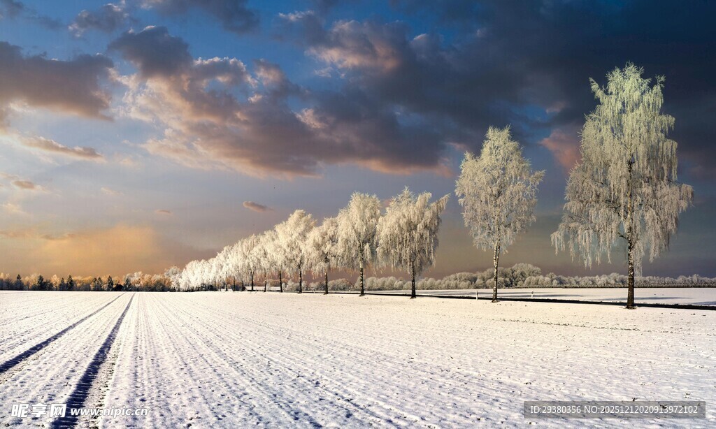 冬日雪景