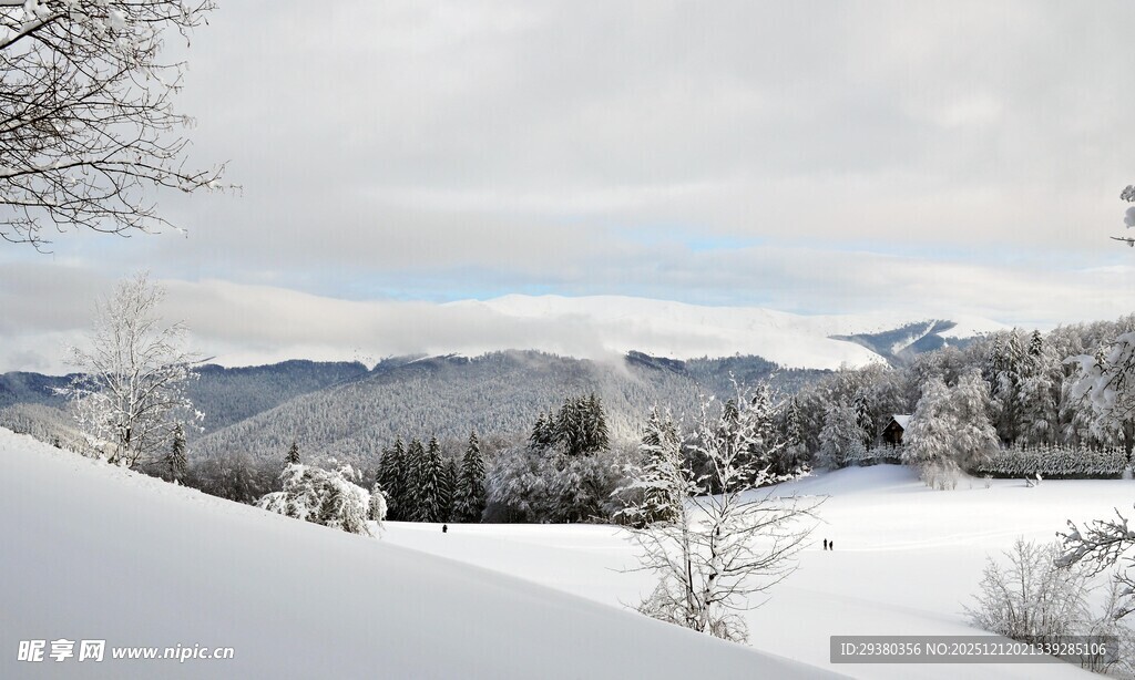 冬日雪景