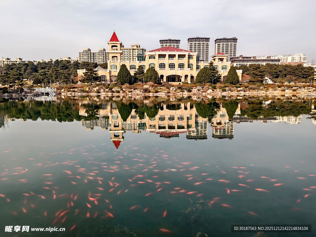 湖畔城市风光与水中锦鲤