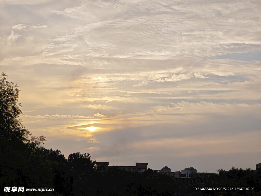 日落时分的天空与树梢