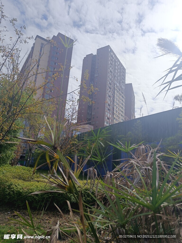 城市高楼旁的绿植景观