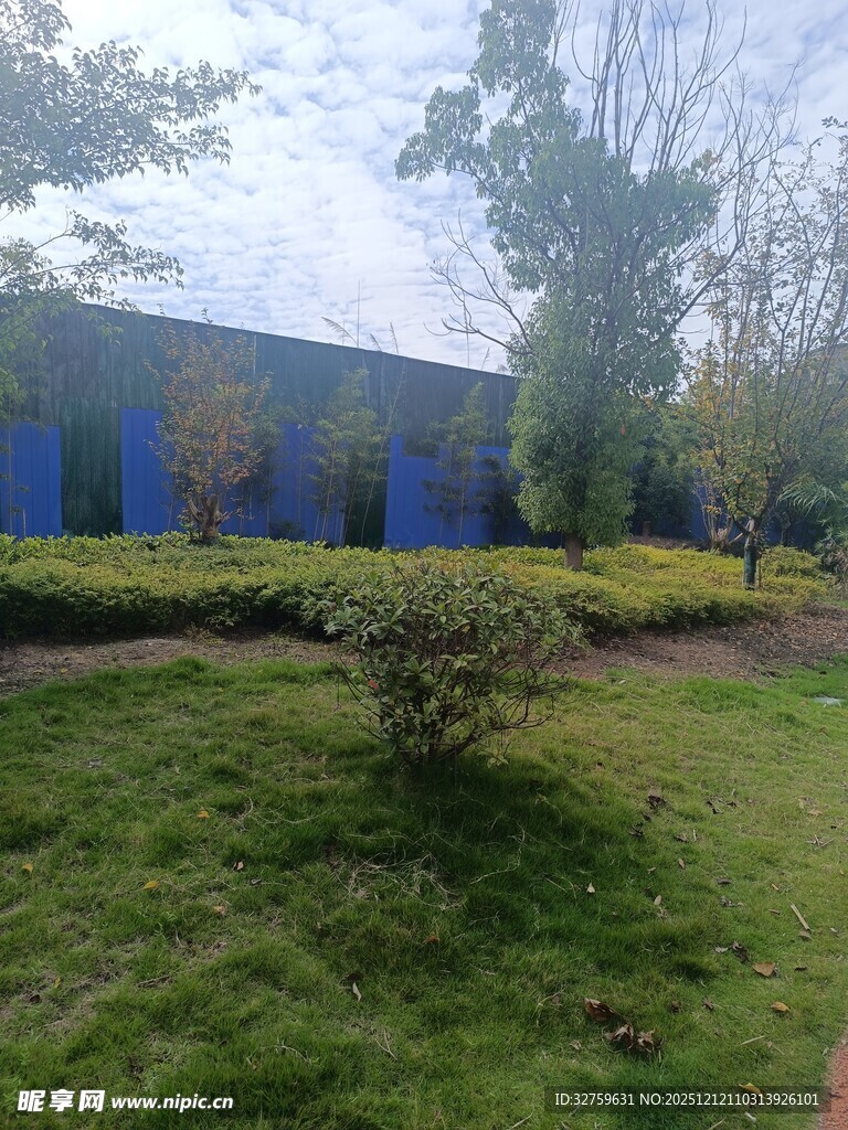 蓝屋旁的绿意盎然庭院