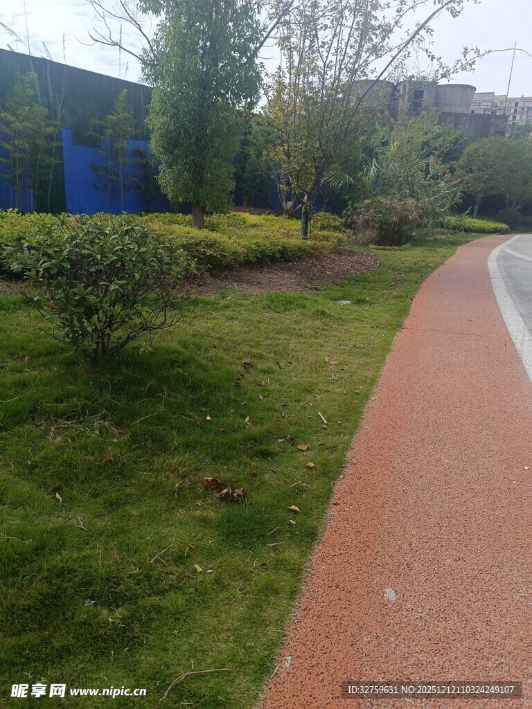 城市中的彩色步道与绿植