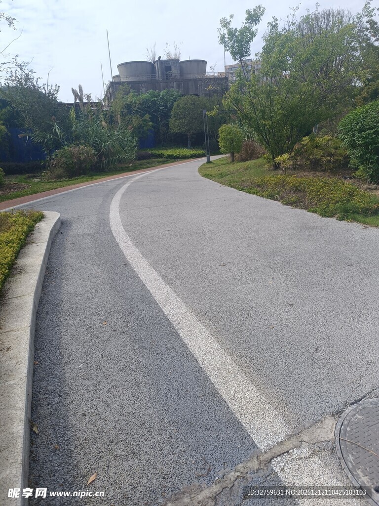 蜿蜒公路旁的葱郁景致