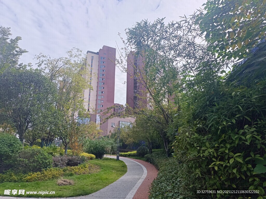 林间小径旁的高耸建筑