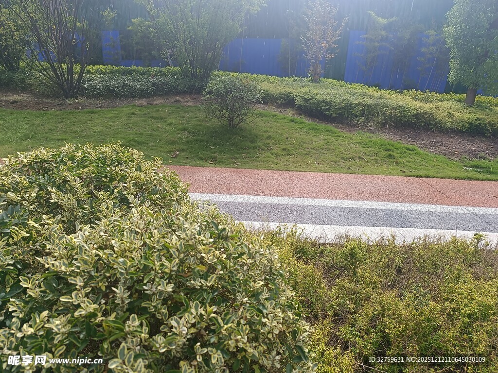 清晨公园绿意盎然小径