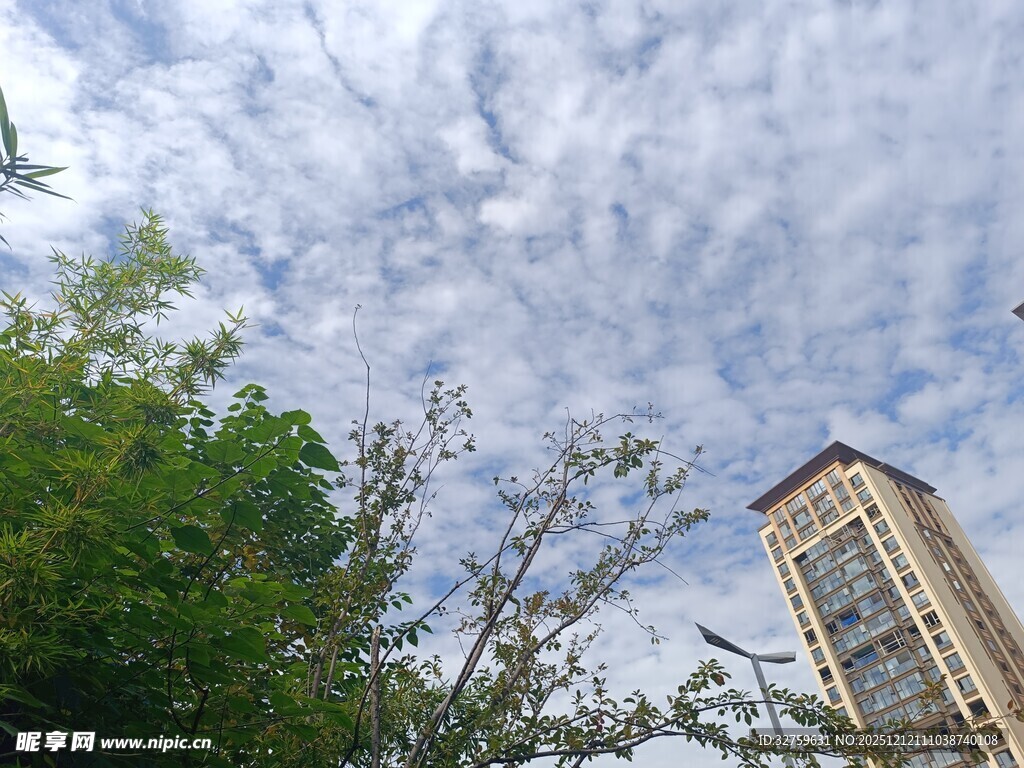 绿树旁高楼与蓝天白云