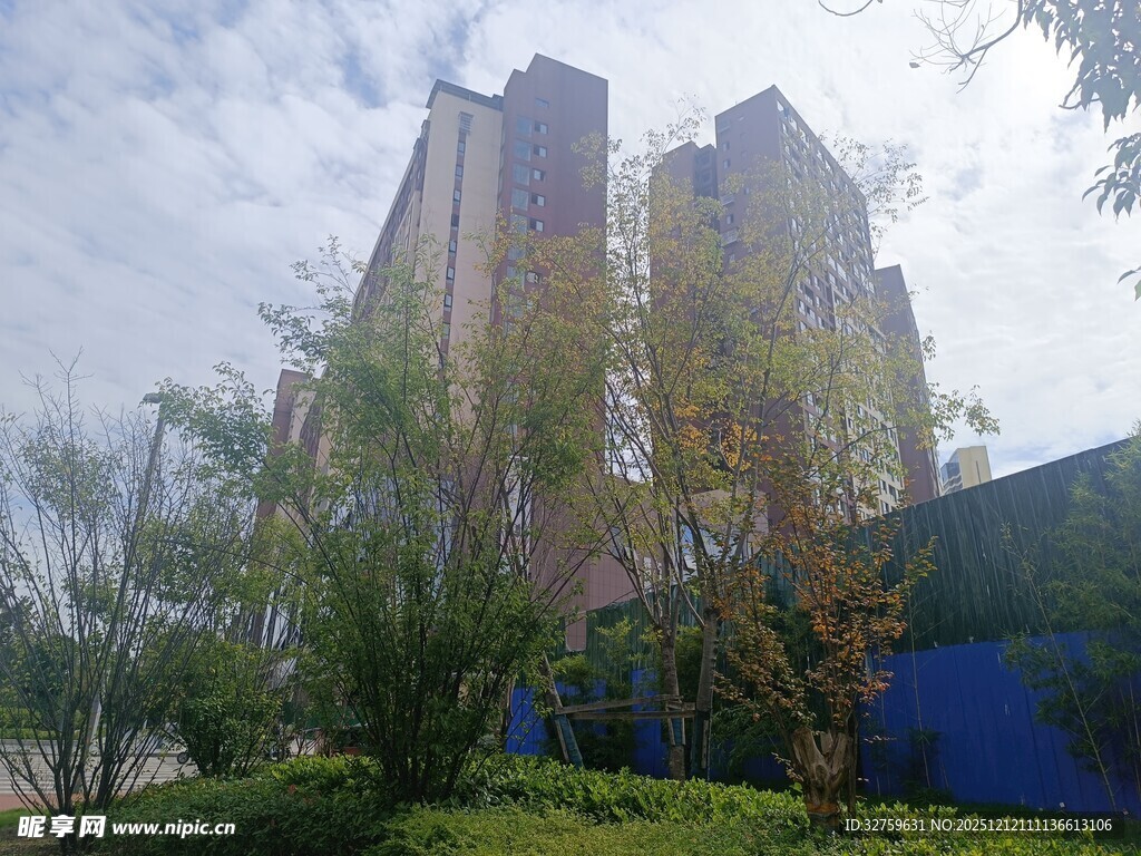 城市高楼旁的绿植景观