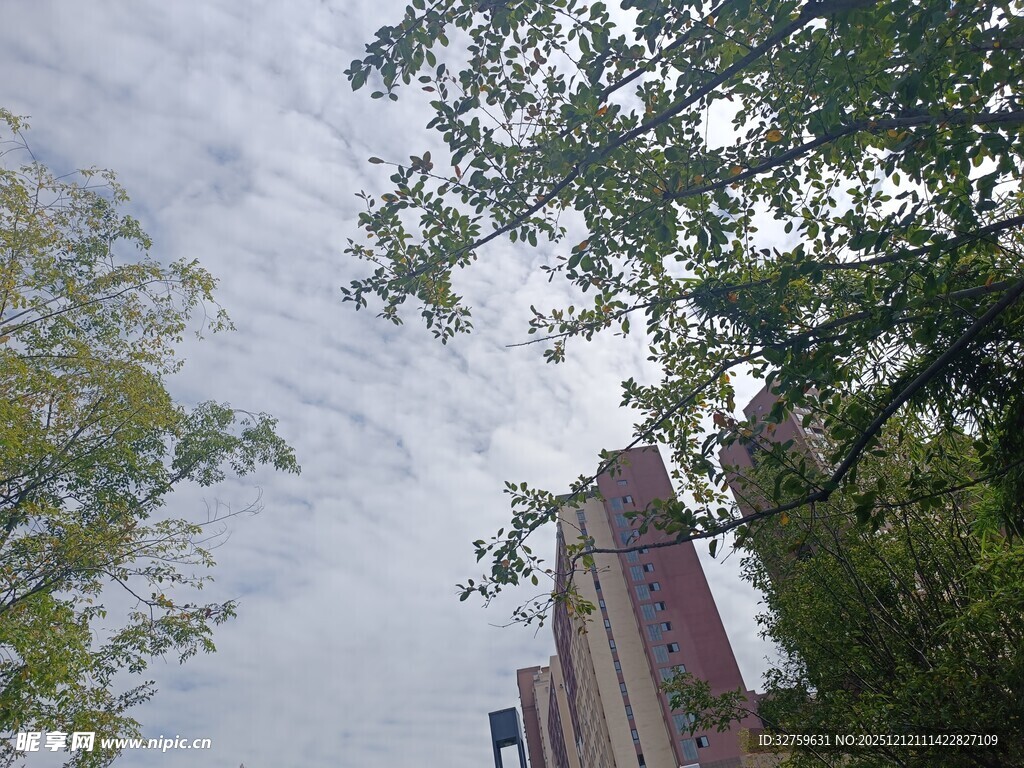 仰视绿树掩映中的建筑