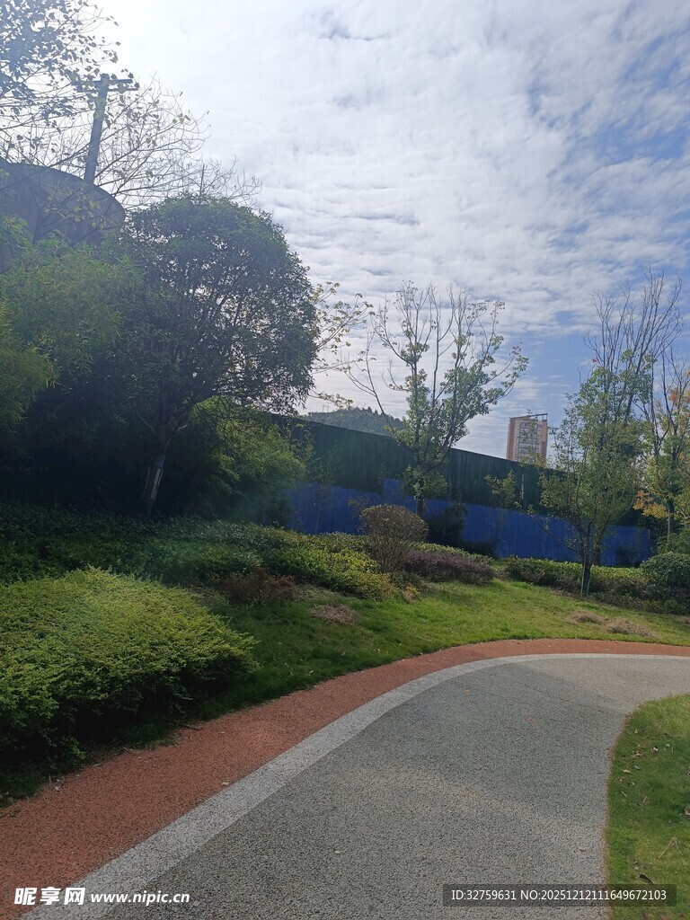 蜿蜒小路旁的葱郁景致