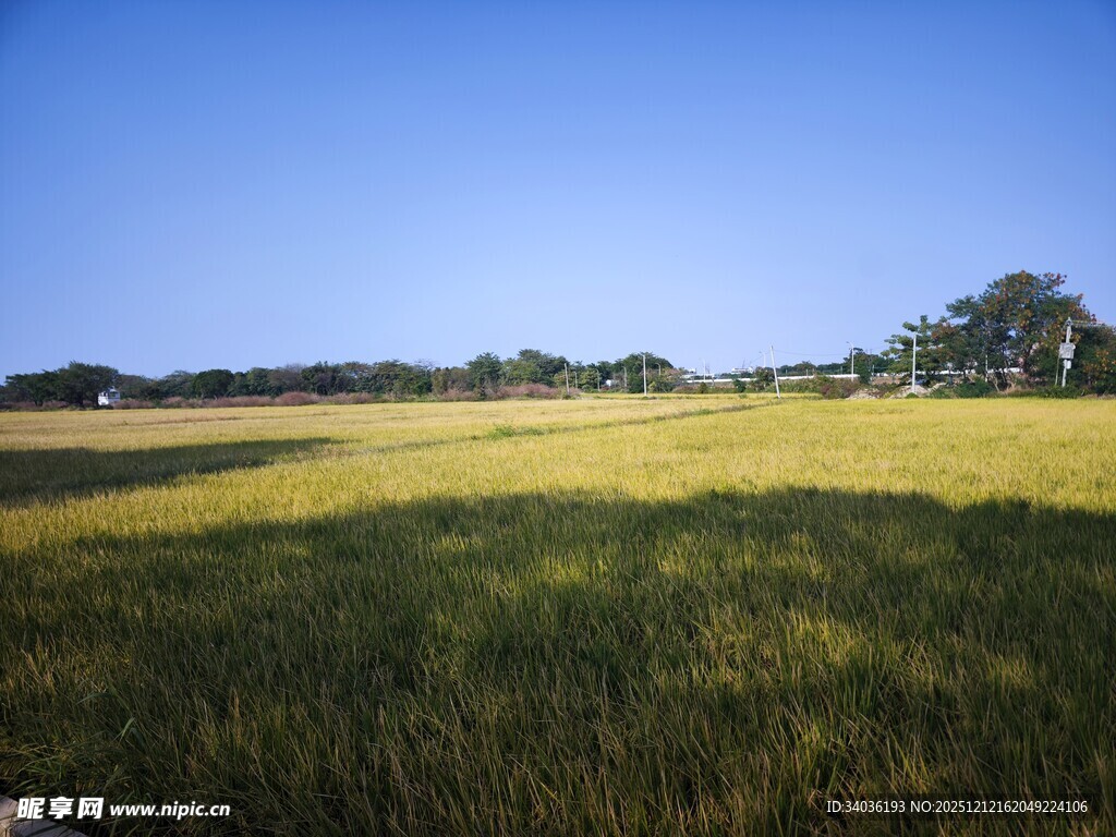 广袤绿野 蓝天之下的风光