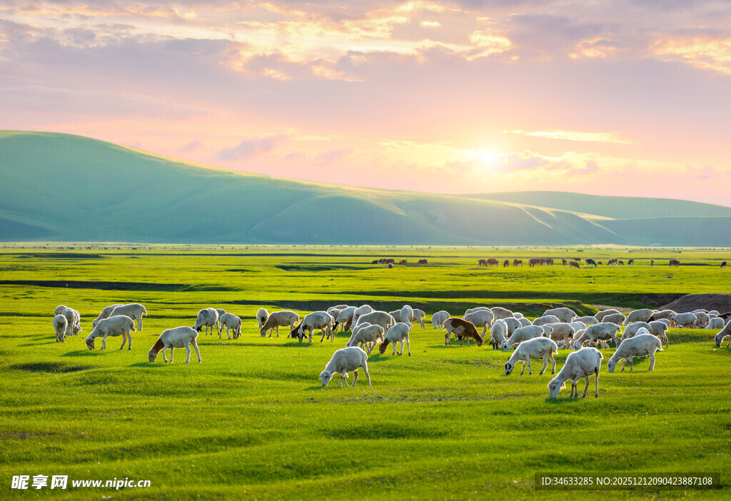 草原牧群伴日落美景
