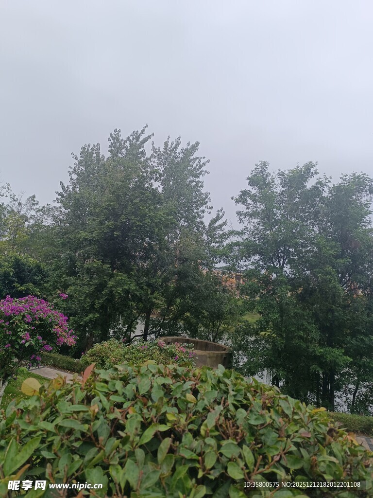 山间绿植与朦胧景致