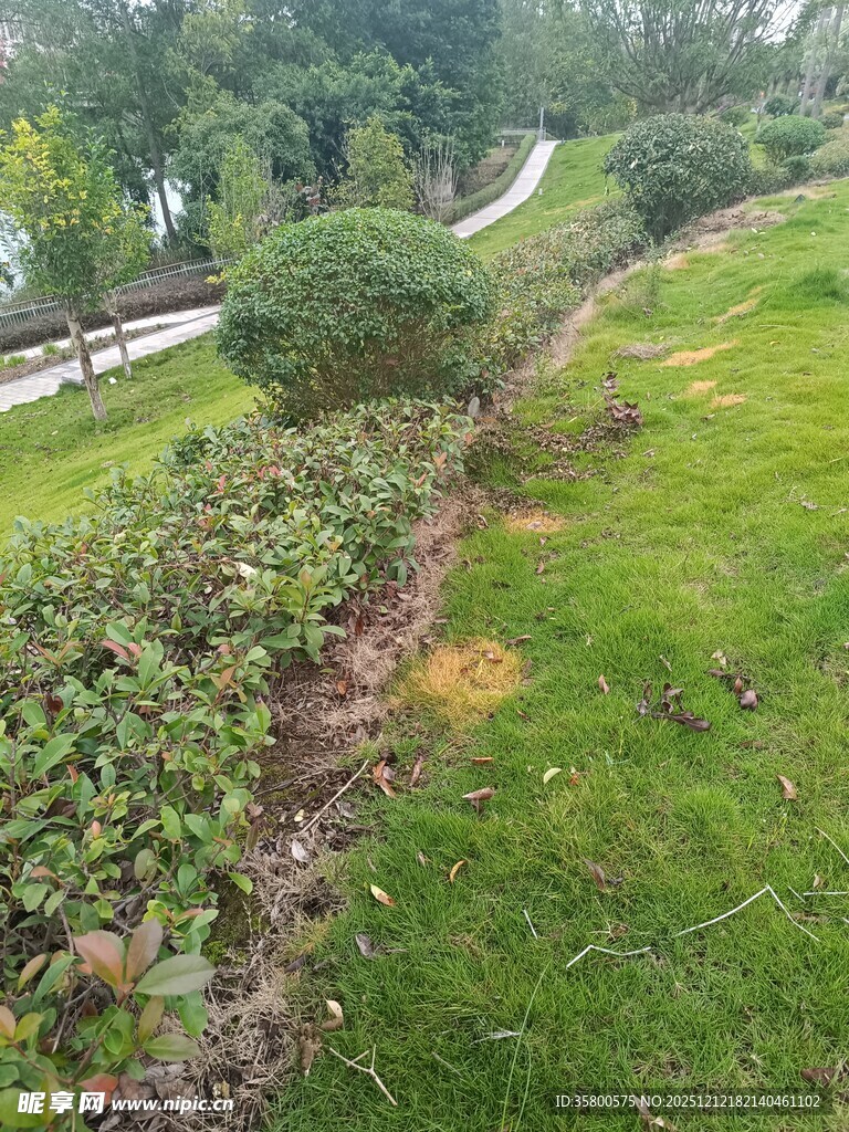 郊外绿意盎然的自然小径