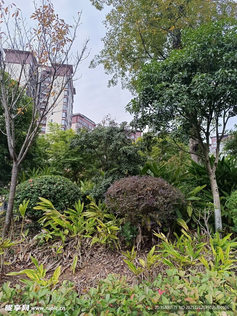 城市中的绿意盎然景观