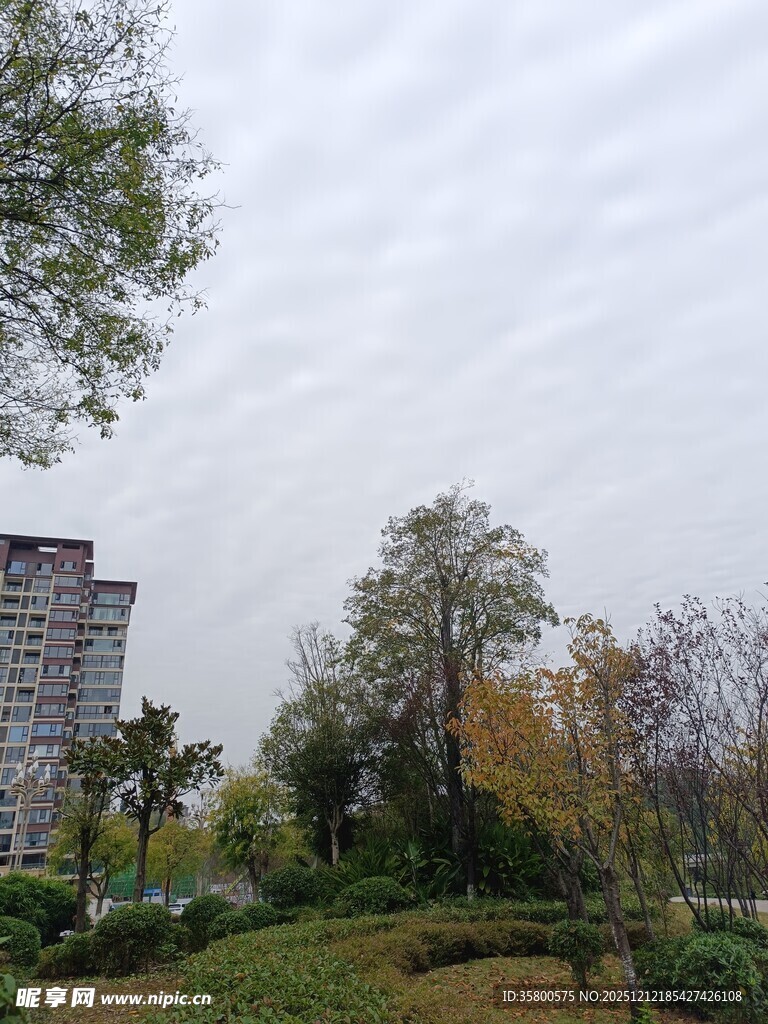 城市中的秋日园林景致