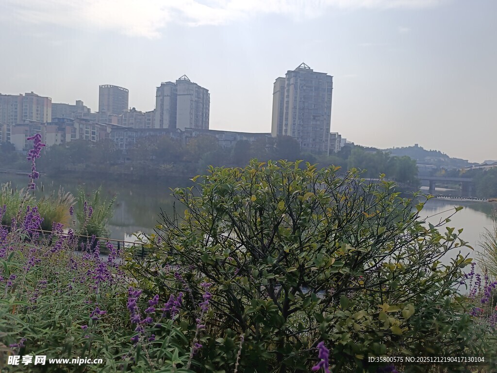 城市河畔花草与建筑景观