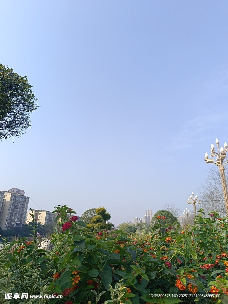 城市边的绿植花卉景观