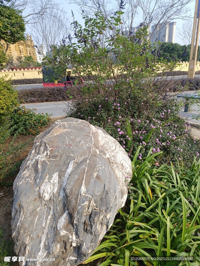 园林中巨石与绿植景观