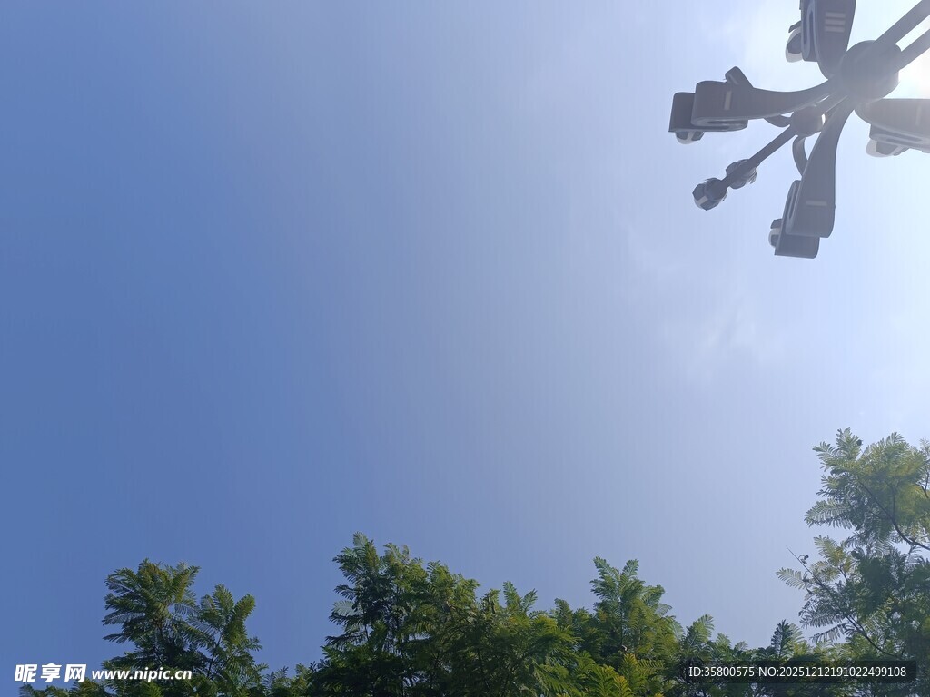 蓝天绿树间的灯杆景观