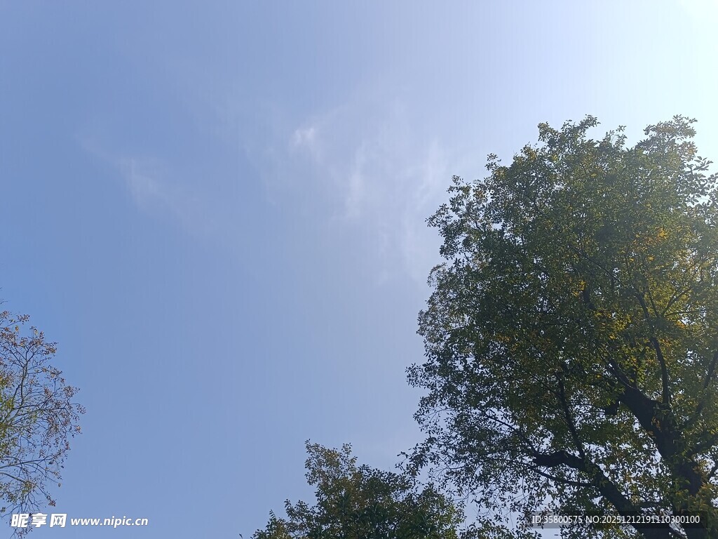 蓝天绿树间的自然景致