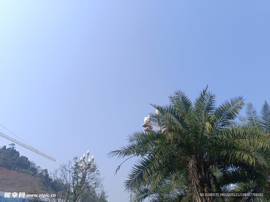 蓝天绿树旁的建筑一角