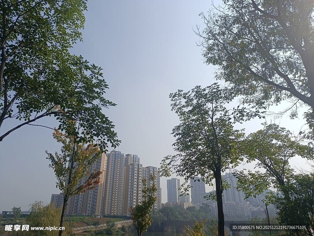 城市绿树间的高楼景致