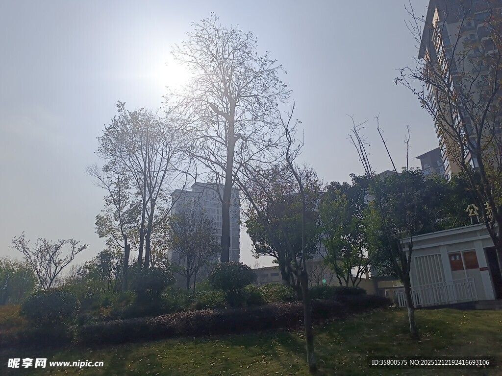 阳光照耀下的户外景致