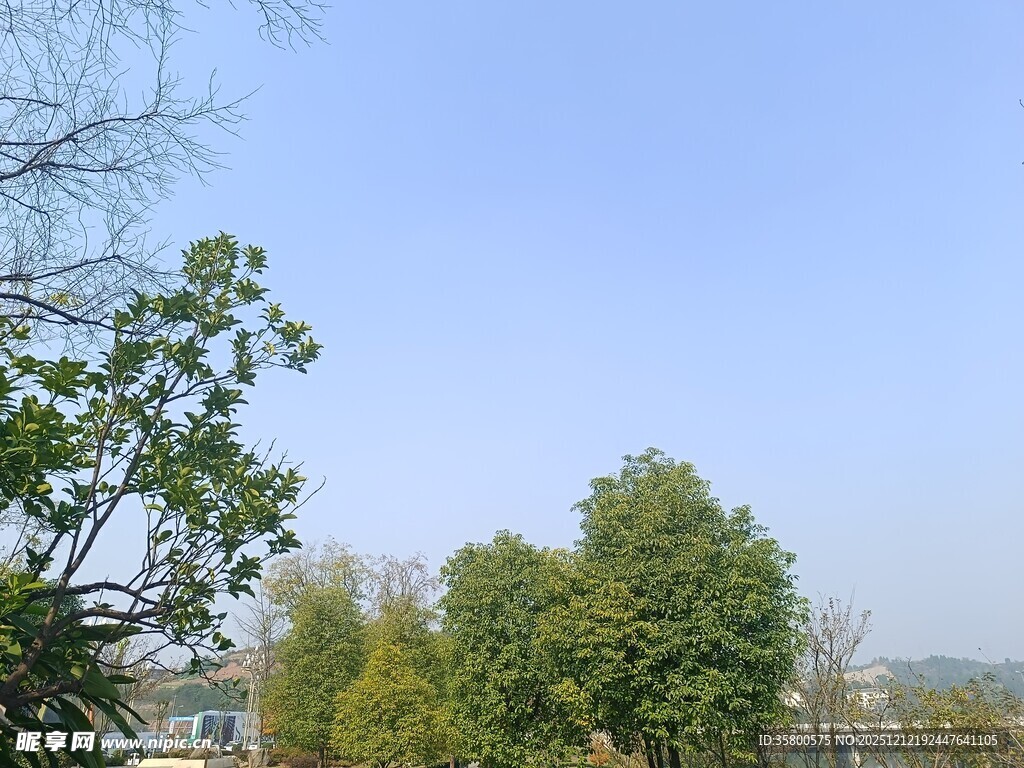 蓝天绿树风景图