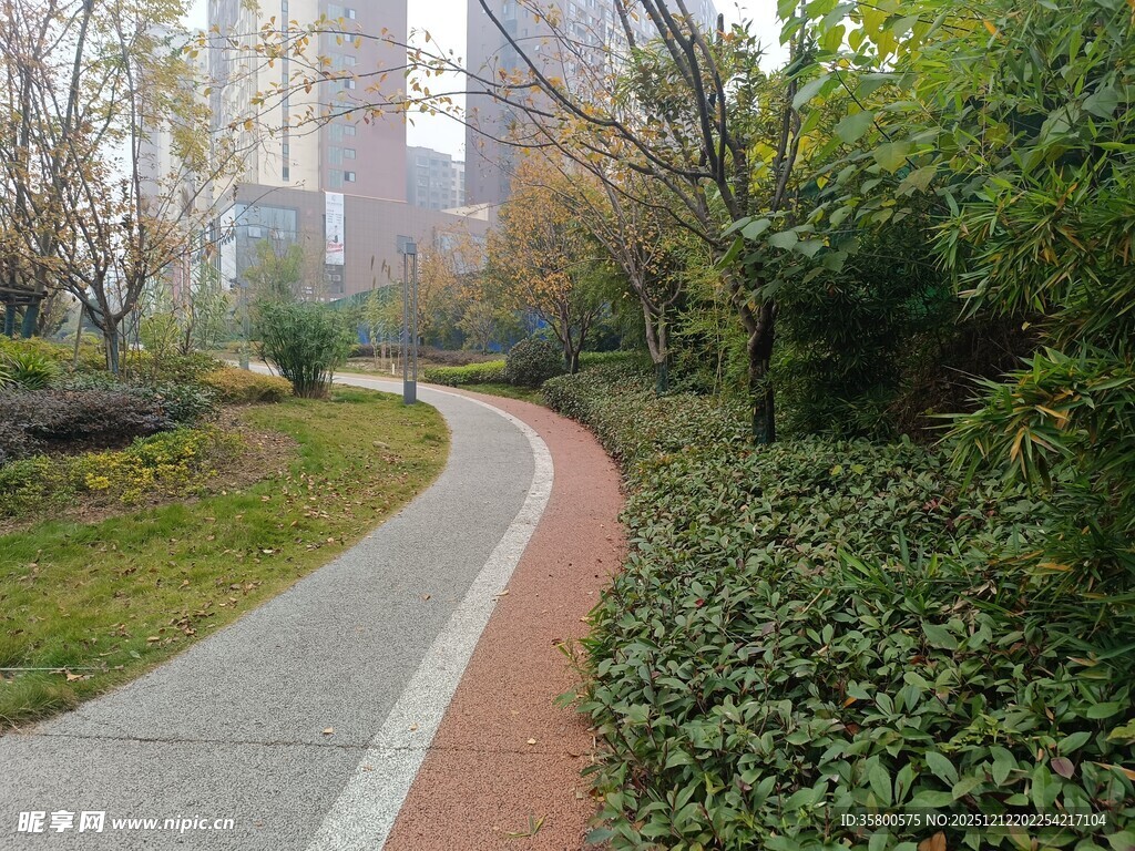 城市中蜿蜒的林间小径