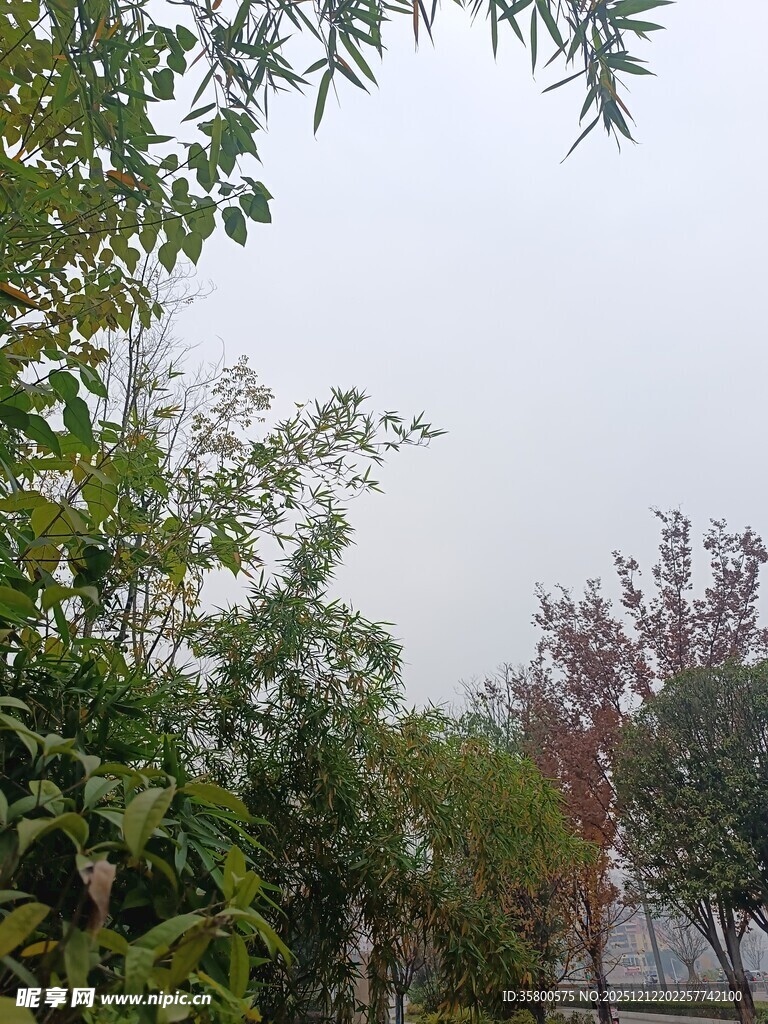 户外绿意盎然的自然景致