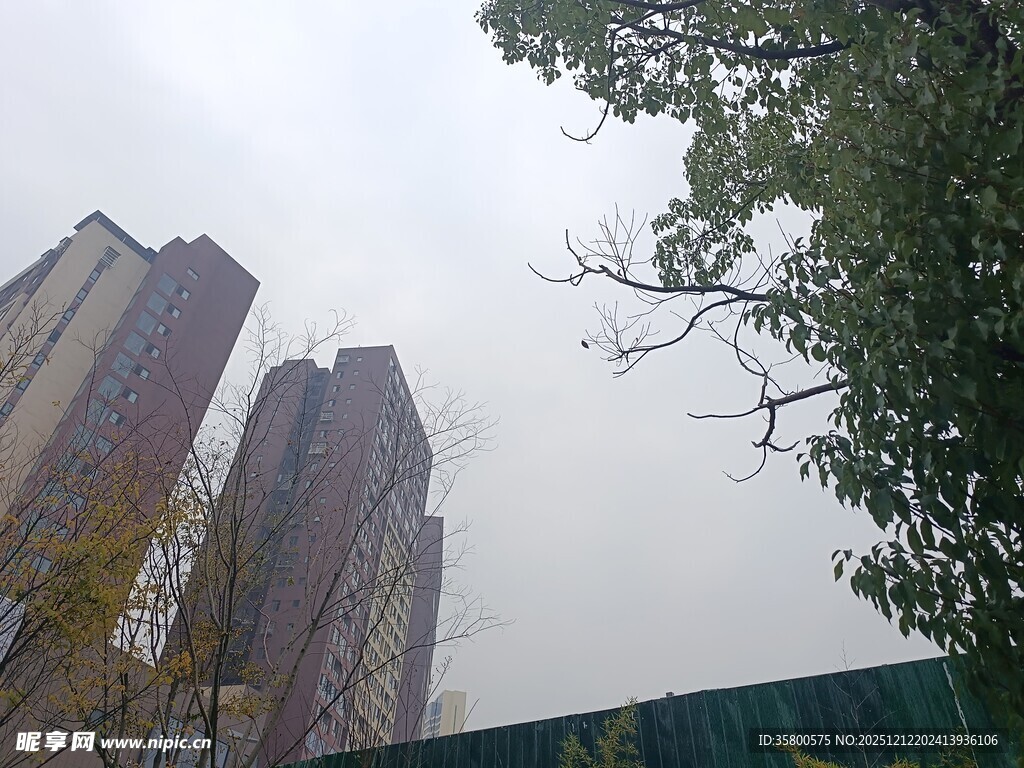 城市高楼与绿植景观