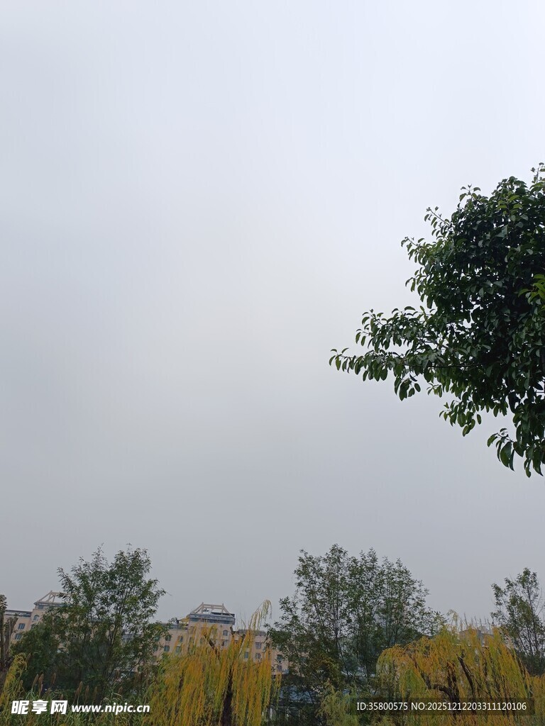 田野边的绿树与朦胧天空