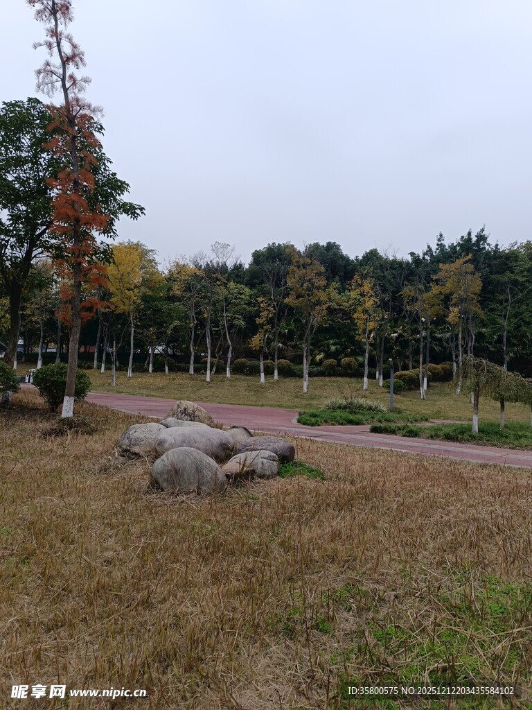 秋日郊野公园风景